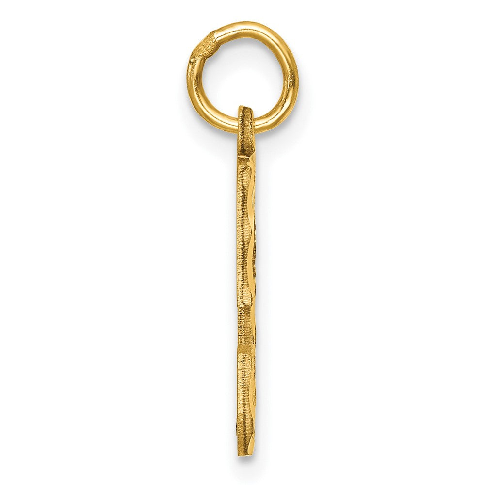 Alternate view of the 14K Yellow Gold, Varsity Collection, Medium D/C Pendant Number 5 by The Black Bow Jewelry Co.