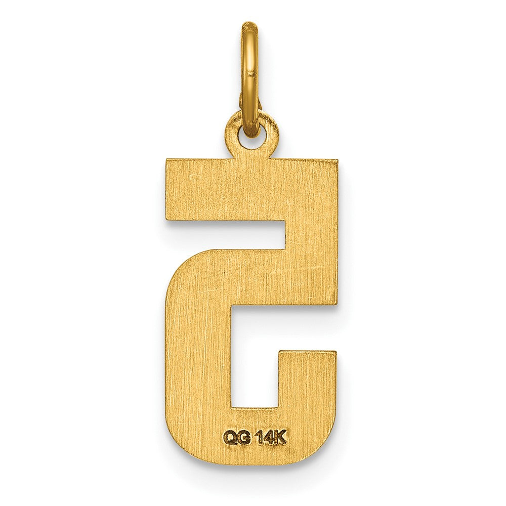 Alternate view of the 14K Yellow Gold, Varsity Collection, Medium D/C Pendant Number 5 by The Black Bow Jewelry Co.