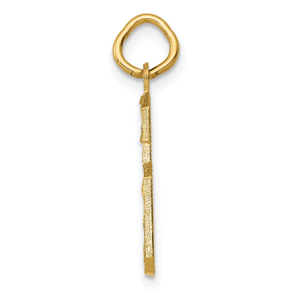 Alternate view of the 14K Yellow Gold, Varsity Collection, Medium D/C Pendant Number 6 by The Black Bow Jewelry Co.