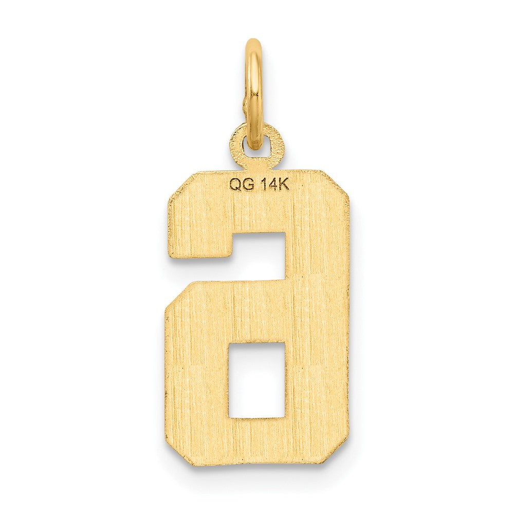 Alternate view of the 14K Yellow Gold, Varsity Collection, Medium D/C Pendant Number 6 by The Black Bow Jewelry Co.
