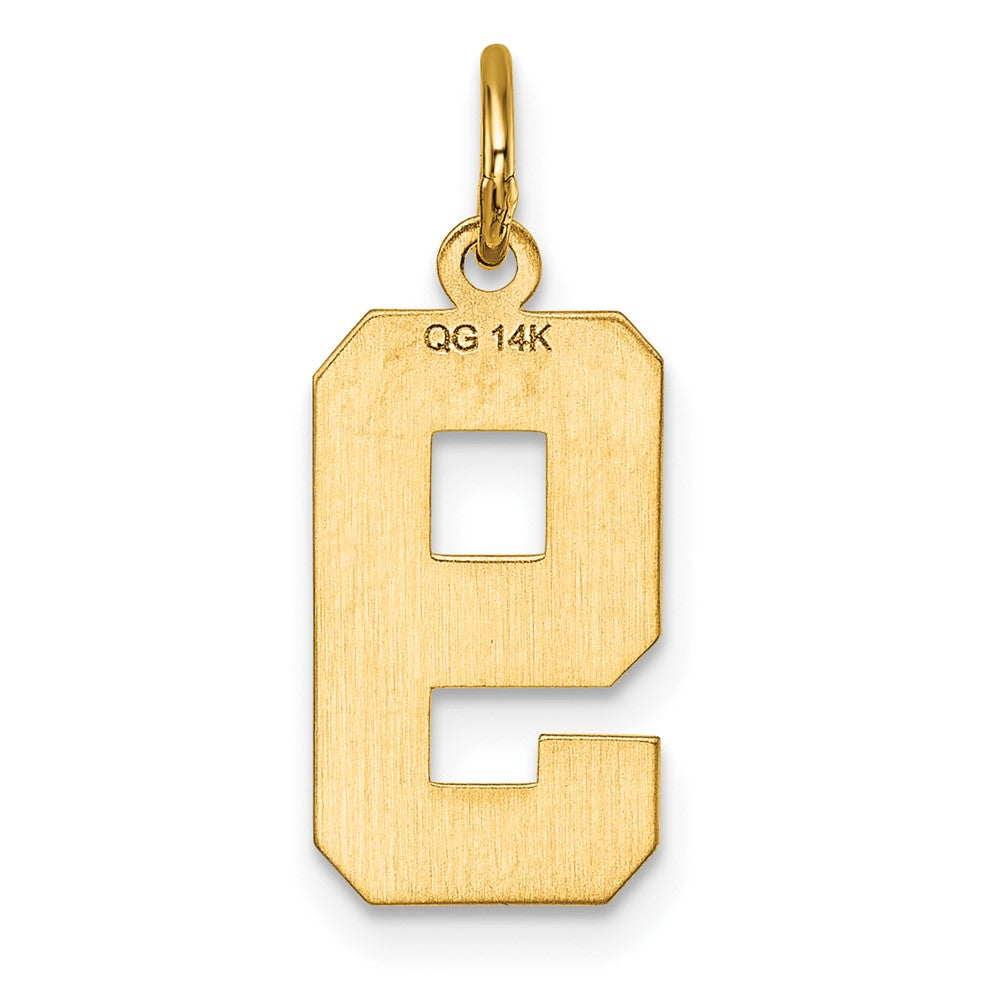 Alternate view of the 14K Yellow Gold, Varsity Collection, Medium D/C Pendant Number 9 by The Black Bow Jewelry Co.