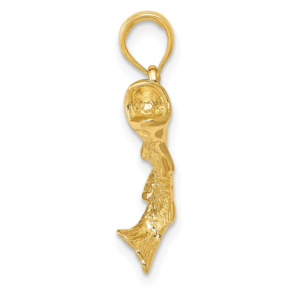 Alternate view of the 14k Yellow Gold Bass Fish Pendant, 19mm (3/4 Inch) by The Black Bow Jewelry Co.