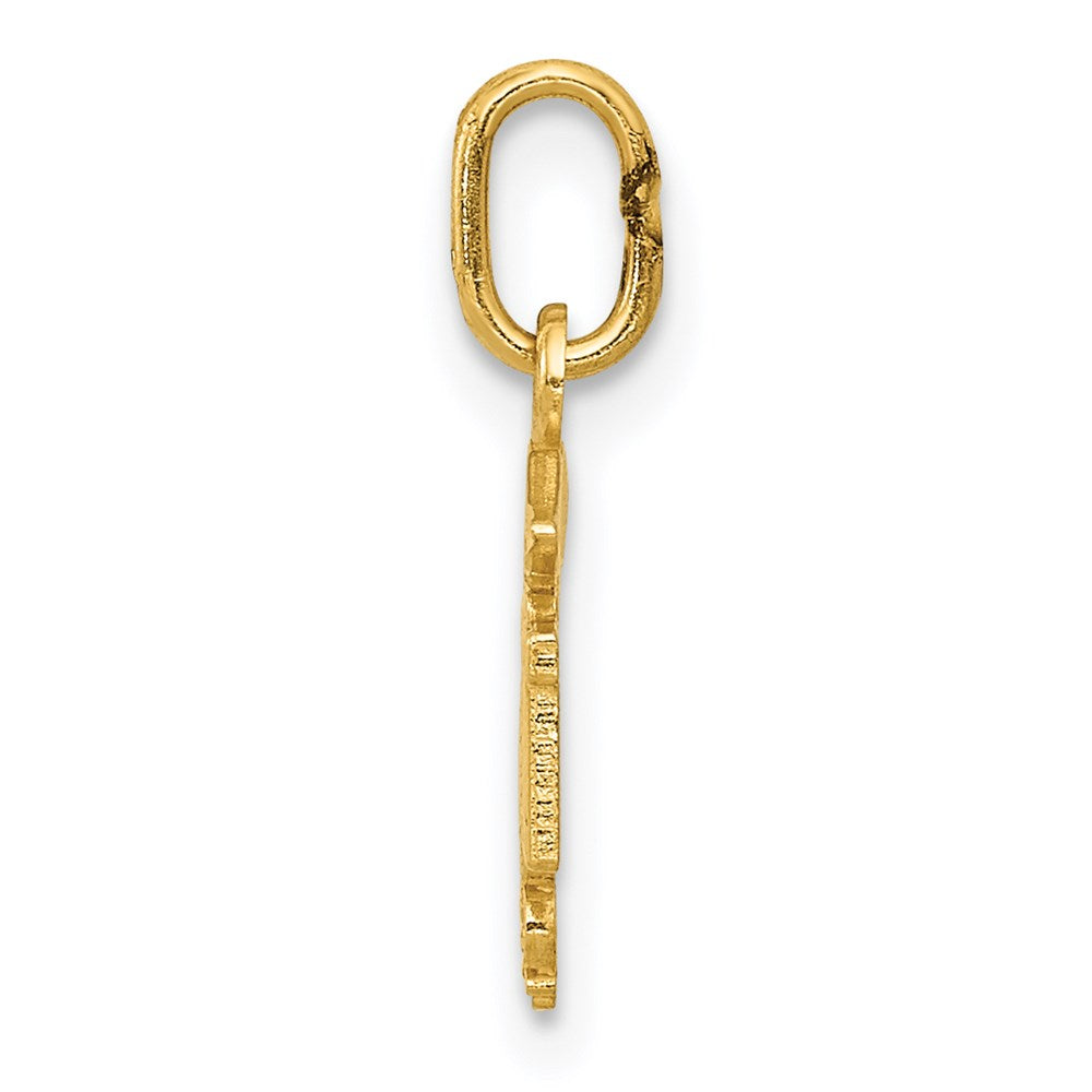 Alternate view of the 14k Yellow Gold Small D/C RN Nurse Charm or Pendant, 11mm (7/16 Inch) by The Black Bow Jewelry Co.