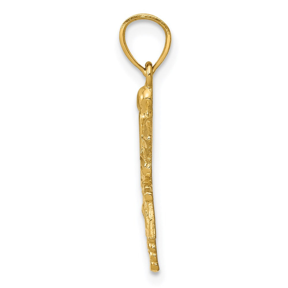 Alternate view of the 14k Yellow Gold Diamond-Cut RN Nurse Pendant, 15 x22mm (9/16 x 7/8 In) by The Black Bow Jewelry Co.