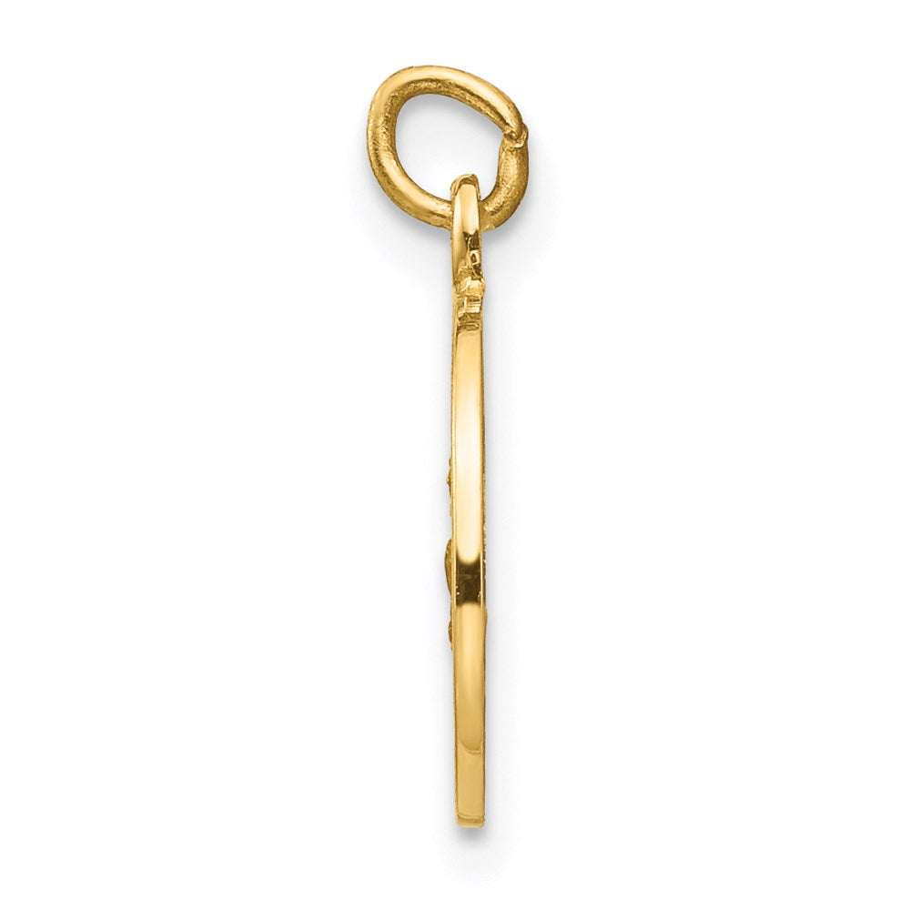 Alternate view of the 14k Yellow Gold Solid St. Roch Medal Charm or Pendant, 12mm (7/16 in) by The Black Bow Jewelry Co.