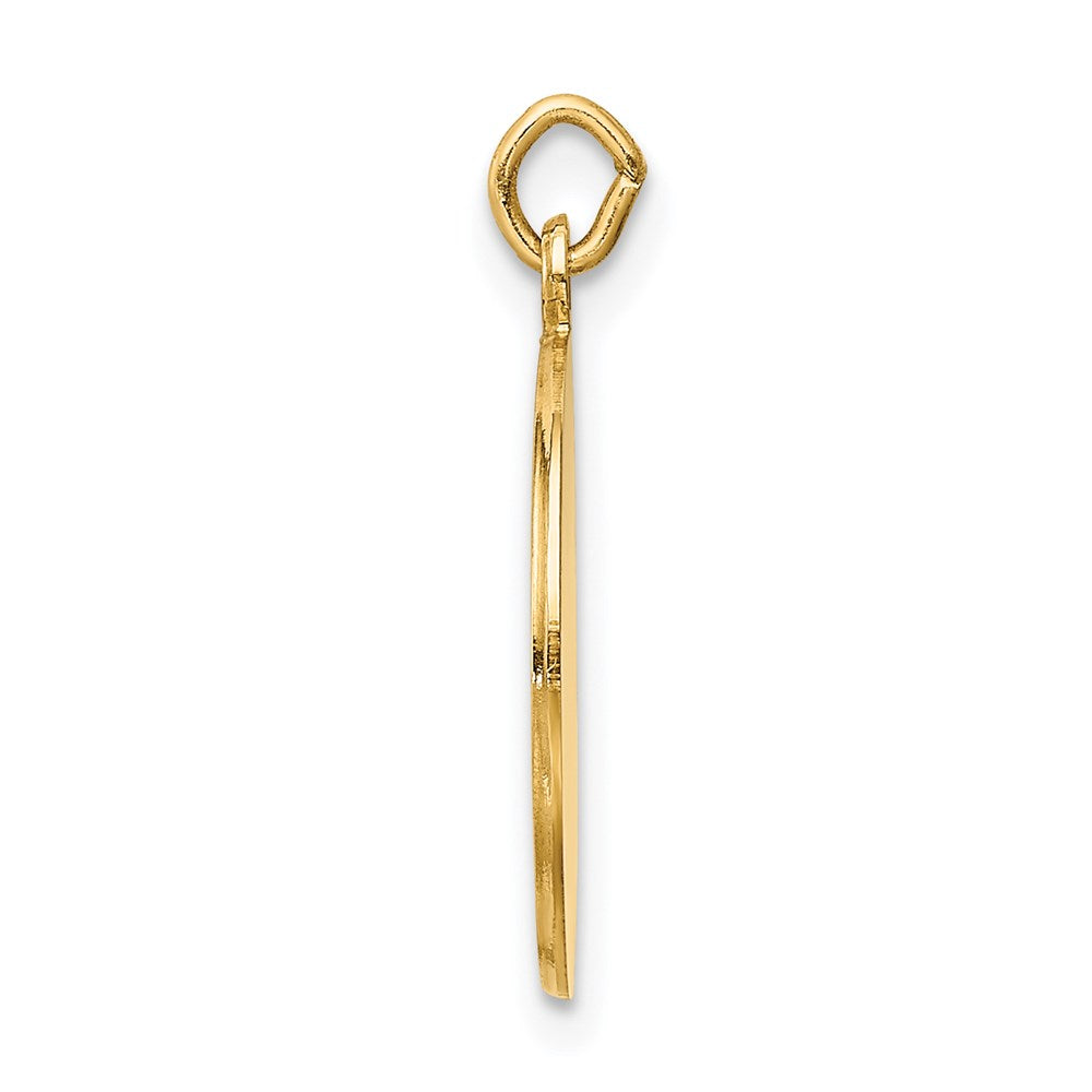 Alternate view of the 14k Yellow Gold Solid St. Roch Medal Charm or Pendant, 15mm (9/16 In) by The Black Bow Jewelry Co.