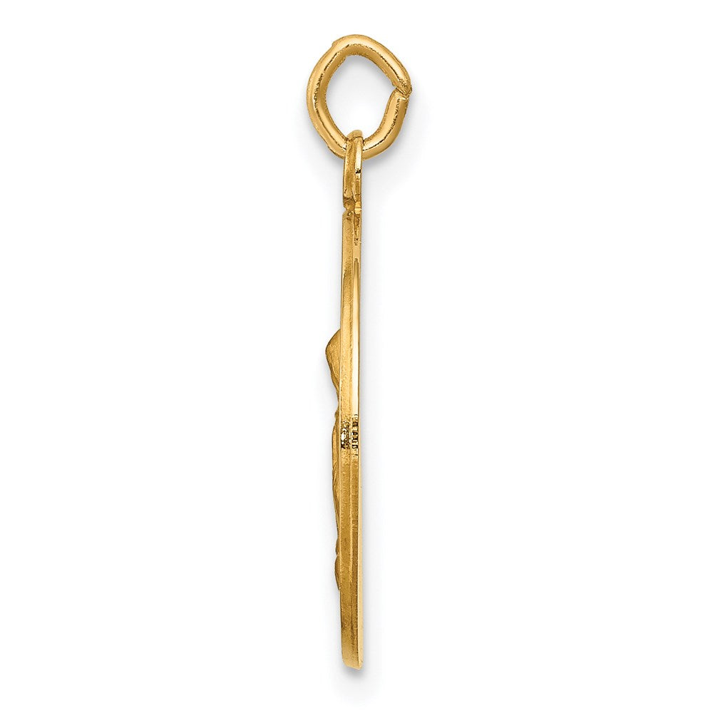Alternate view of the 14k Yellow Gold Solid St. Anne Medal Charm or Pendant, 15mm (9/16 In.) by The Black Bow Jewelry Co.