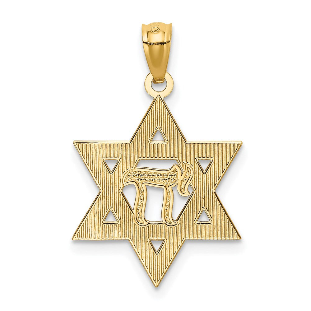 Alternate view of the 14k Yellow Gold & Rhodium D/C Star of David & Chai Pendant, 16mm by The Black Bow Jewelry Co.