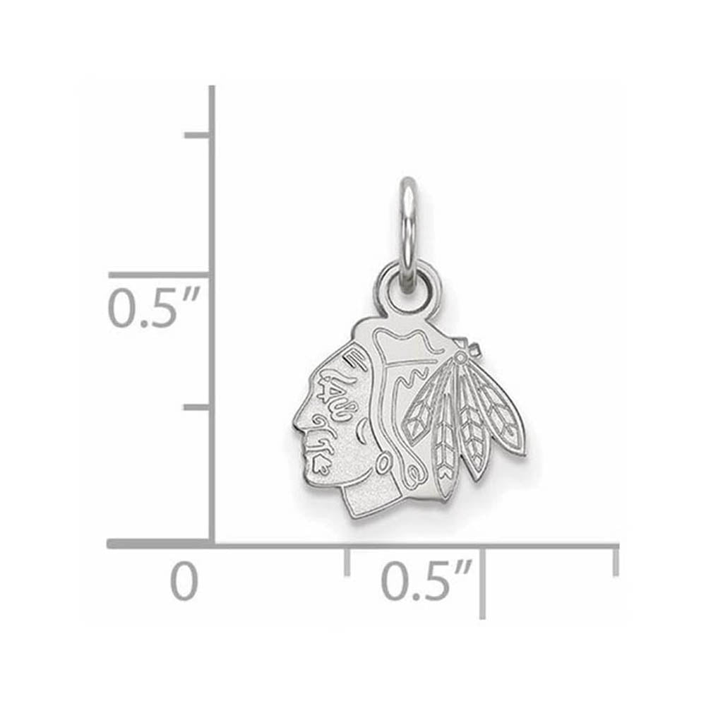 Alternate view of the 10k White Gold NHL Chicago Blackhawks XS (Tiny) Charm or Pendant by The Black Bow Jewelry Co.