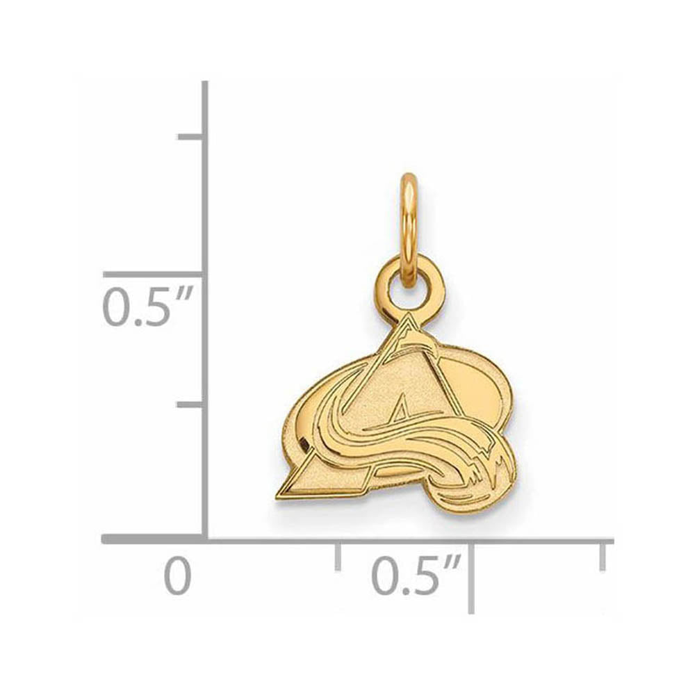 Alternate view of the 10k Yellow Gold NHL Colorado Avalanche XS (Tiny) Charm or Pendant by The Black Bow Jewelry Co.