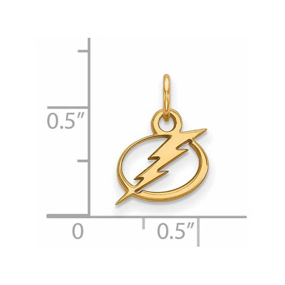 Alternate view of the 10k Yellow Gold NHL Tampa Bay Lightning XS (Tiny) Charm or Pendant by The Black Bow Jewelry Co.