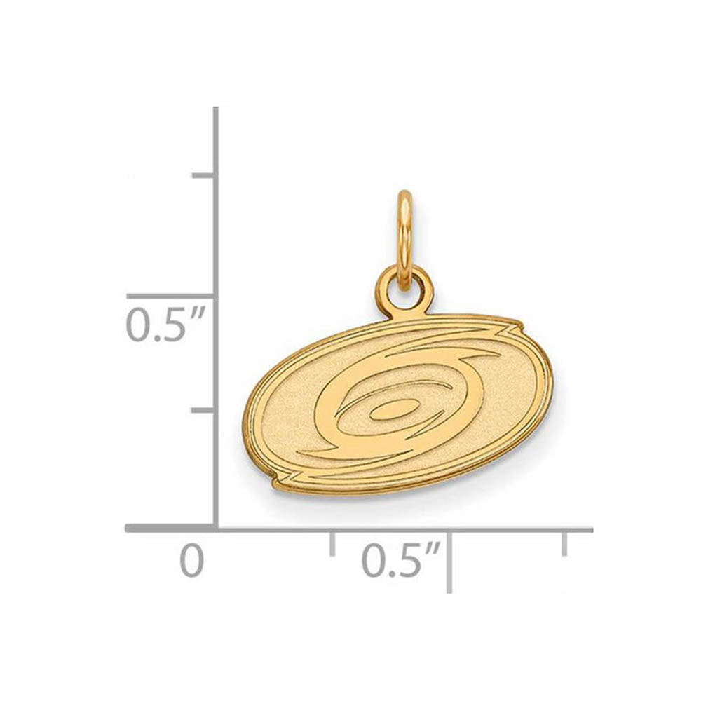 Alternate view of the 10k Yellow Gold NHL Carolina Hurricanes XS (Tiny) Charm or Pendant by The Black Bow Jewelry Co.