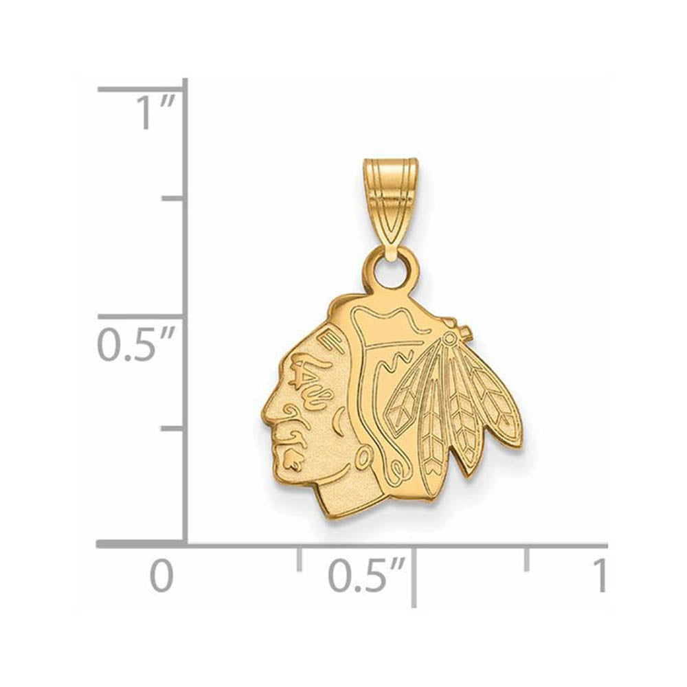 Alternate view of the 10k Yellow Gold NHL Chicago Blackhawks Small Logo Pendant by The Black Bow Jewelry Co.