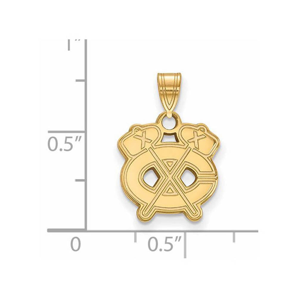 Alternate view of the 10k Yellow Gold NHL Chicago Blackhawks Small Pendant by The Black Bow Jewelry Co.