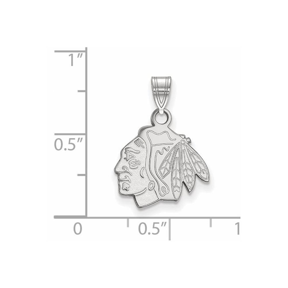 Alternate view of the 14k White Gold NHL Chicago Blackhawks Small Logo Pendant by The Black Bow Jewelry Co.