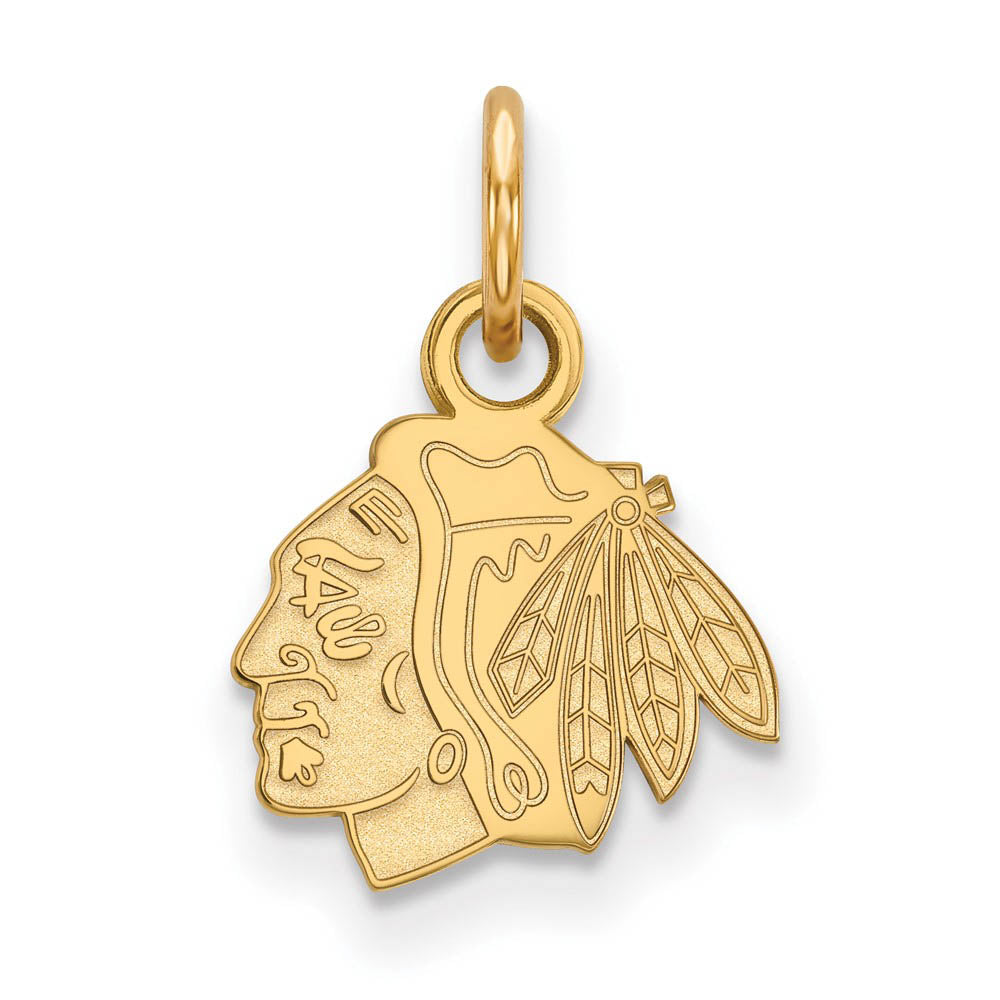 14k Yellow Gold NHL Chicago Blackhawks XS (Tiny) Charm or Pendant, Item P29918 by The Black Bow Jewelry Co.