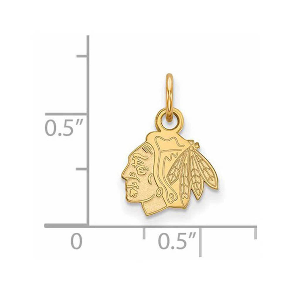 Alternate view of the 14k Yellow Gold NHL Chicago Blackhawks XS (Tiny) Charm or Pendant by The Black Bow Jewelry Co.