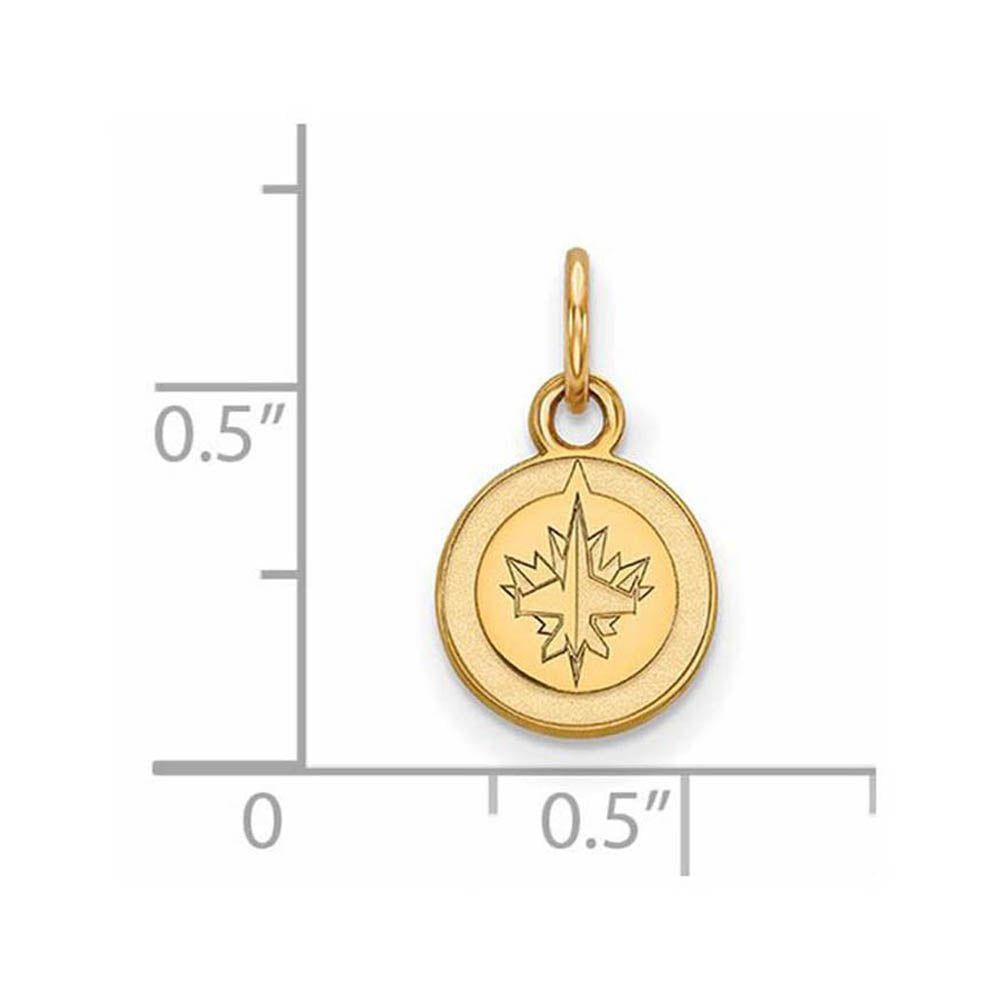 Alternate view of the 14k Yellow Gold NHL Winnipeg Jets XS (Tiny) Disc Charm or Pendant by The Black Bow Jewelry Co.