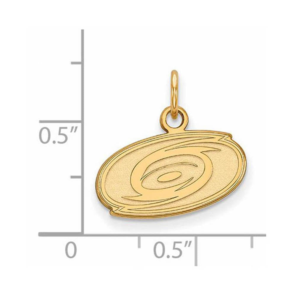 Alternate view of the 14k Yellow Gold NHL Carolina Hurricanes XS (Tiny) Charm or Pendant by The Black Bow Jewelry Co.