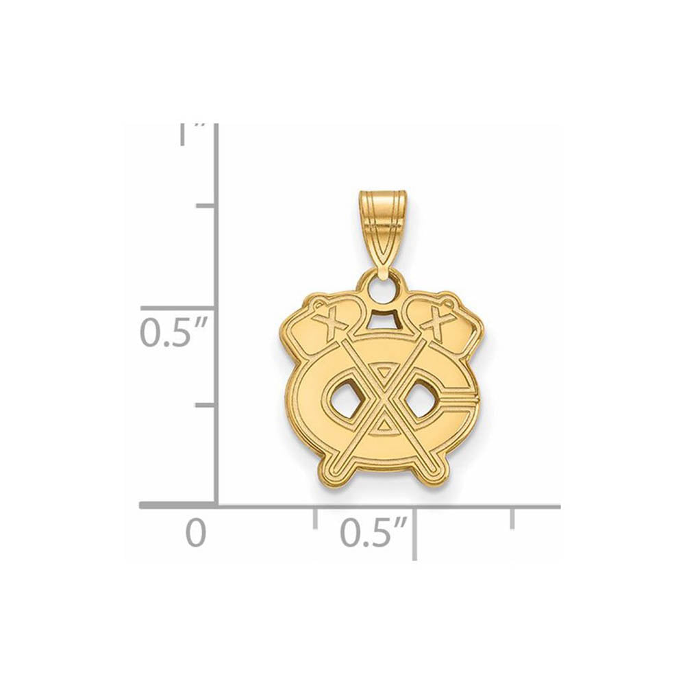 Alternate view of the 14k Yellow Gold NHL Chicago Blackhawks Small Pendant by The Black Bow Jewelry Co.