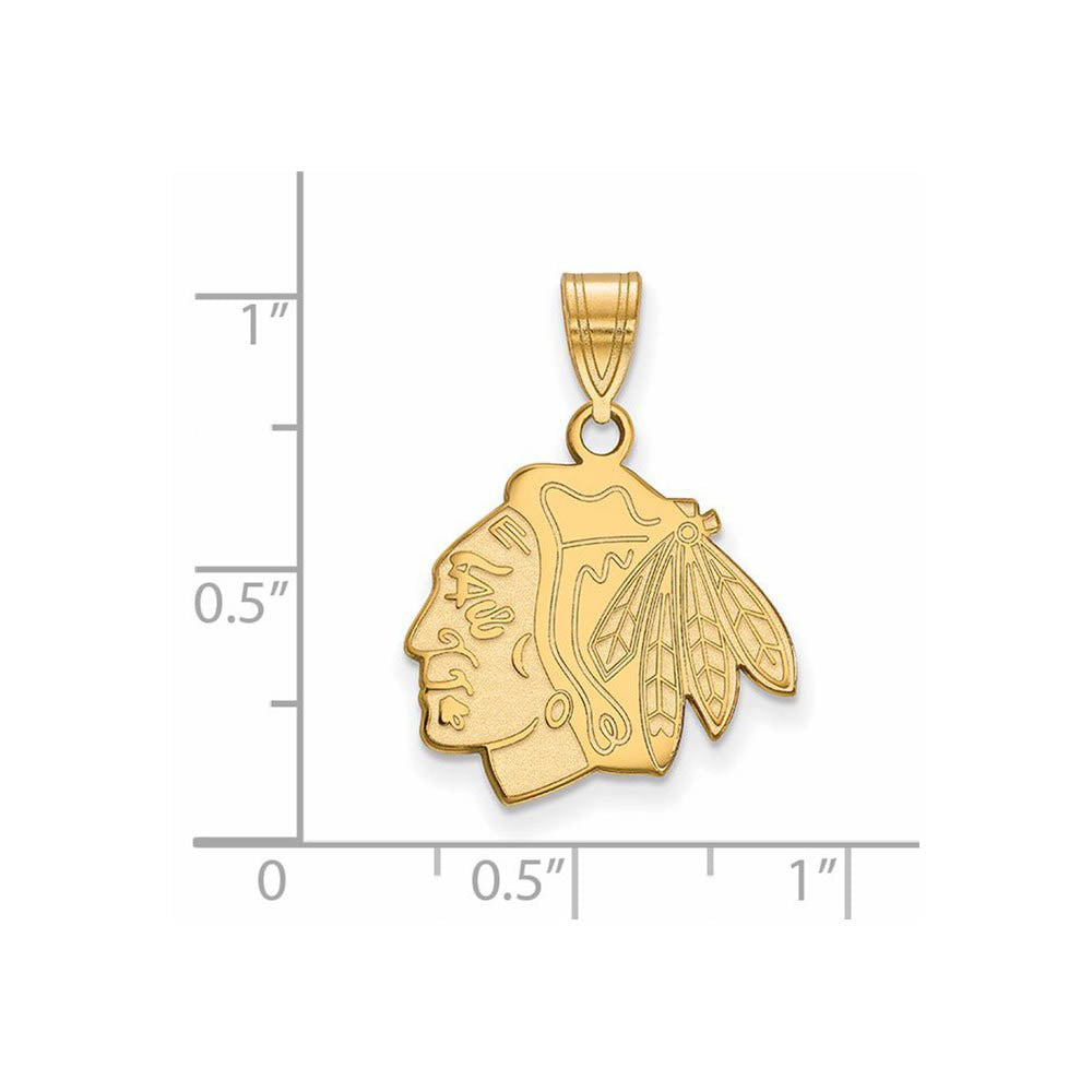 Alternate view of the SS 14k Yellow Gold Plated NHL Chicago Blackhawks Medium Pendant by The Black Bow Jewelry Co.