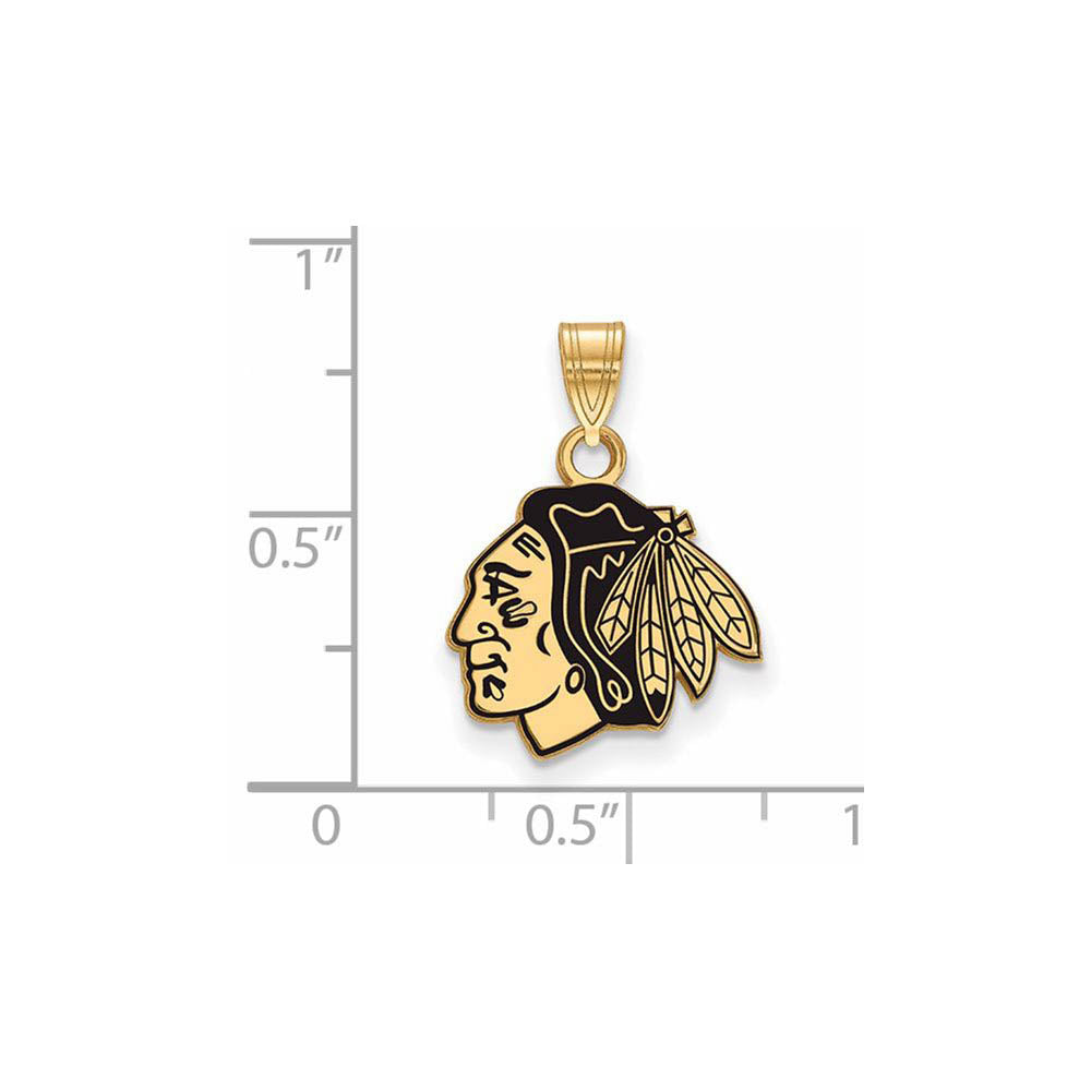 Alternate view of the SS 14k Yellow Gold Plated NHL Chicago Blackhawks SM Enamel Pendant by The Black Bow Jewelry Co.