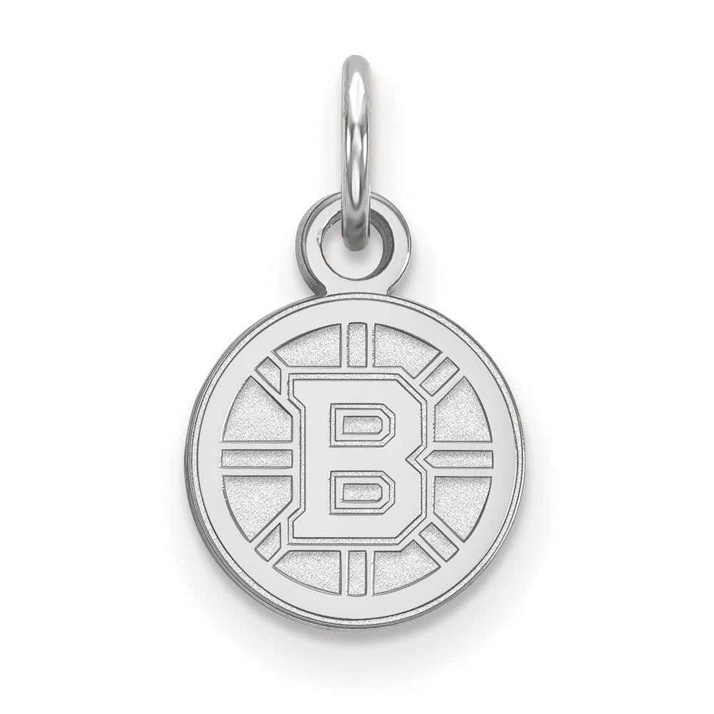 Sterling Silver NHL Boston Bruins XS (Tiny) Disc Charm or Pendant, Item P30262 by The Black Bow Jewelry Co.