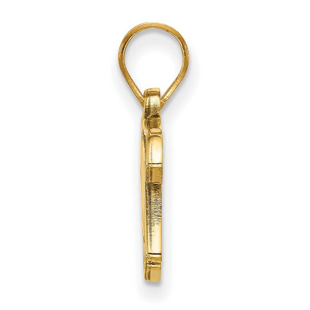 Alternate view of the 14K Yellow Gold MLB Minnesota Twins Small Script Pendant by The Black Bow Jewelry Co.