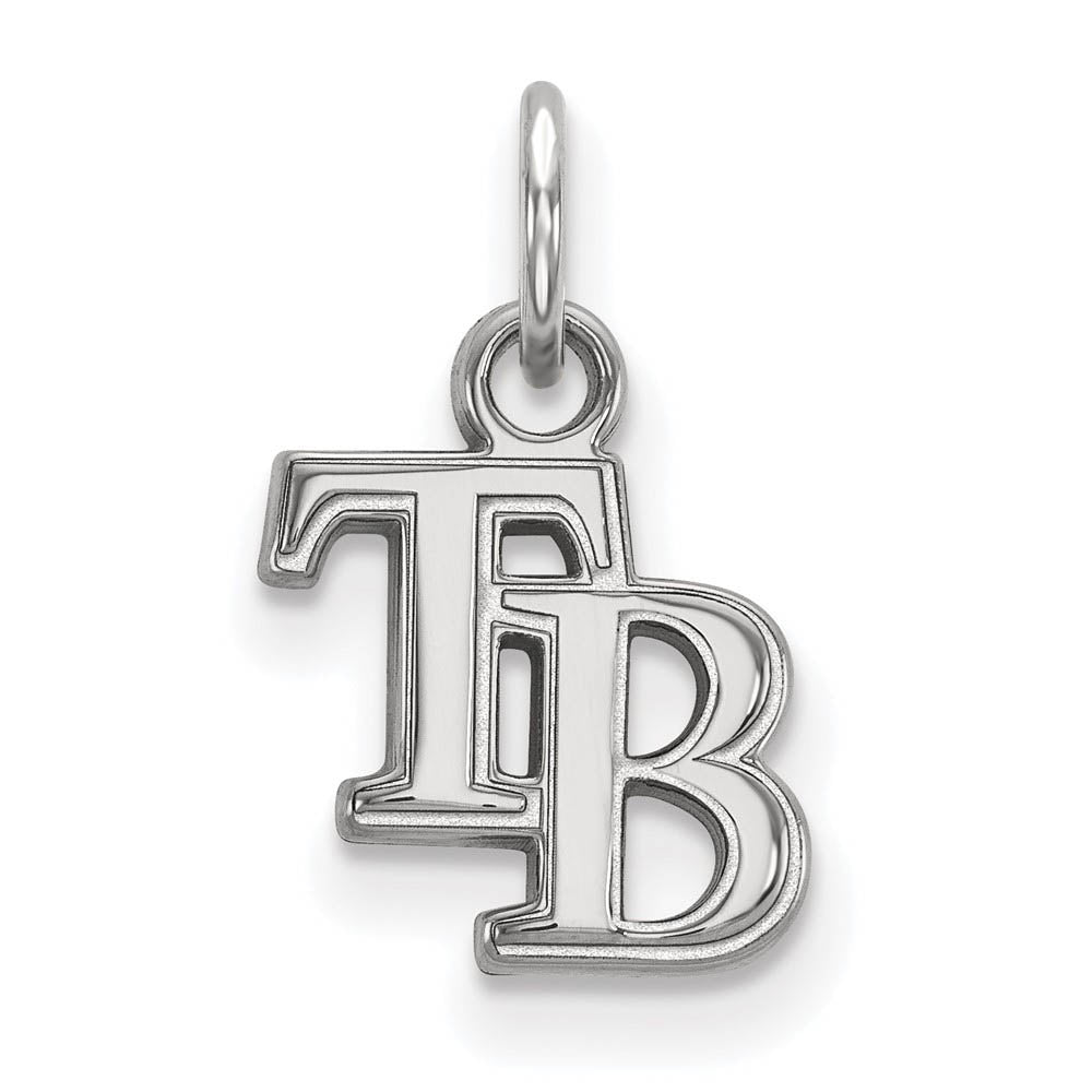 14K White Gold MLB Tampa Bay Rays XS (Tiny) Charm, Item P33197 by The Black Bow Jewelry Co.