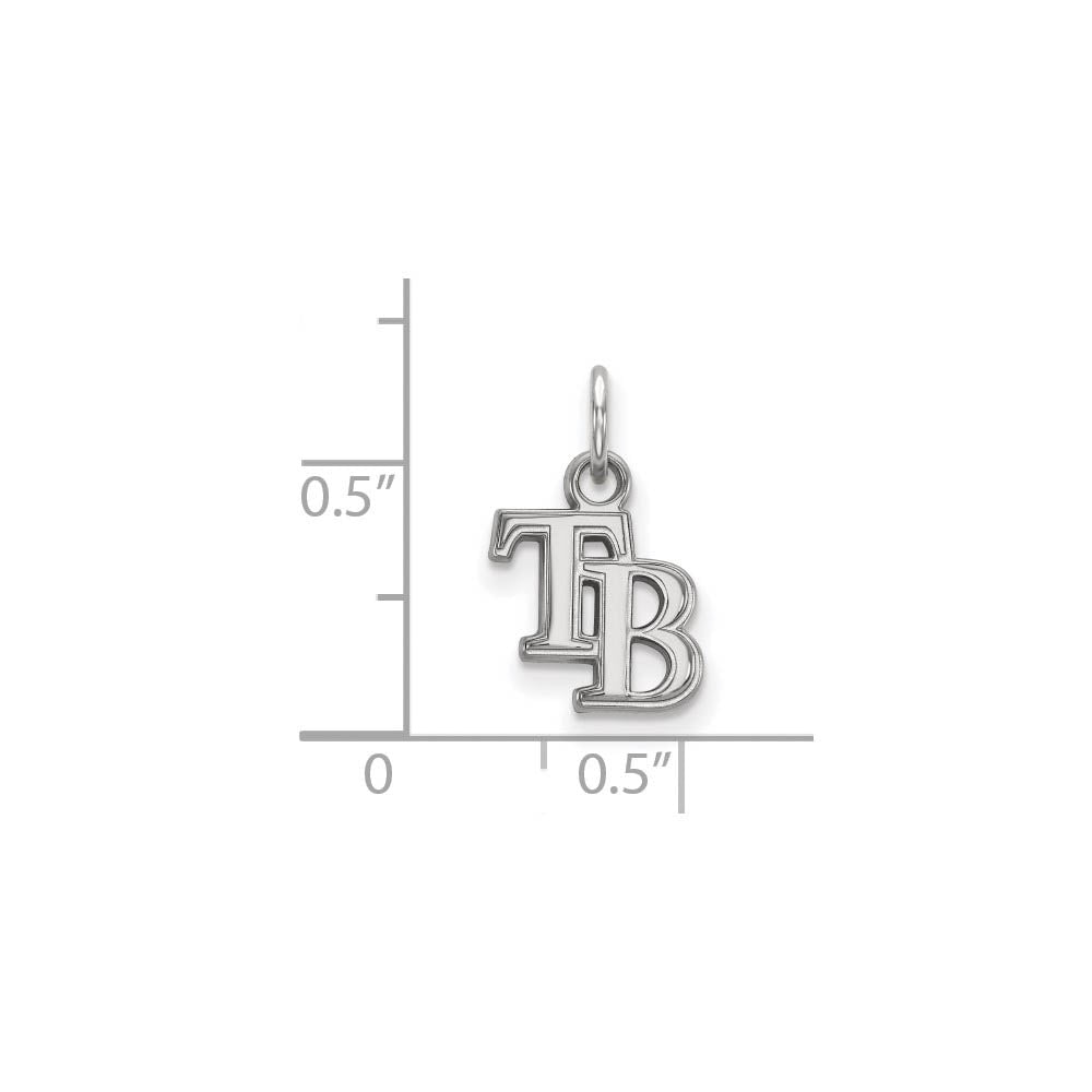 Alternate view of the 14K White Gold MLB Tampa Bay Rays XS (Tiny) Charm by The Black Bow Jewelry Co.