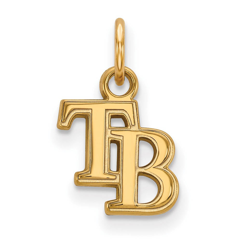 14K Gold Plated Silver MLB Tampa Bay Rays XS (Tiny) Charm, Item P33211 by The Black Bow Jewelry Co.