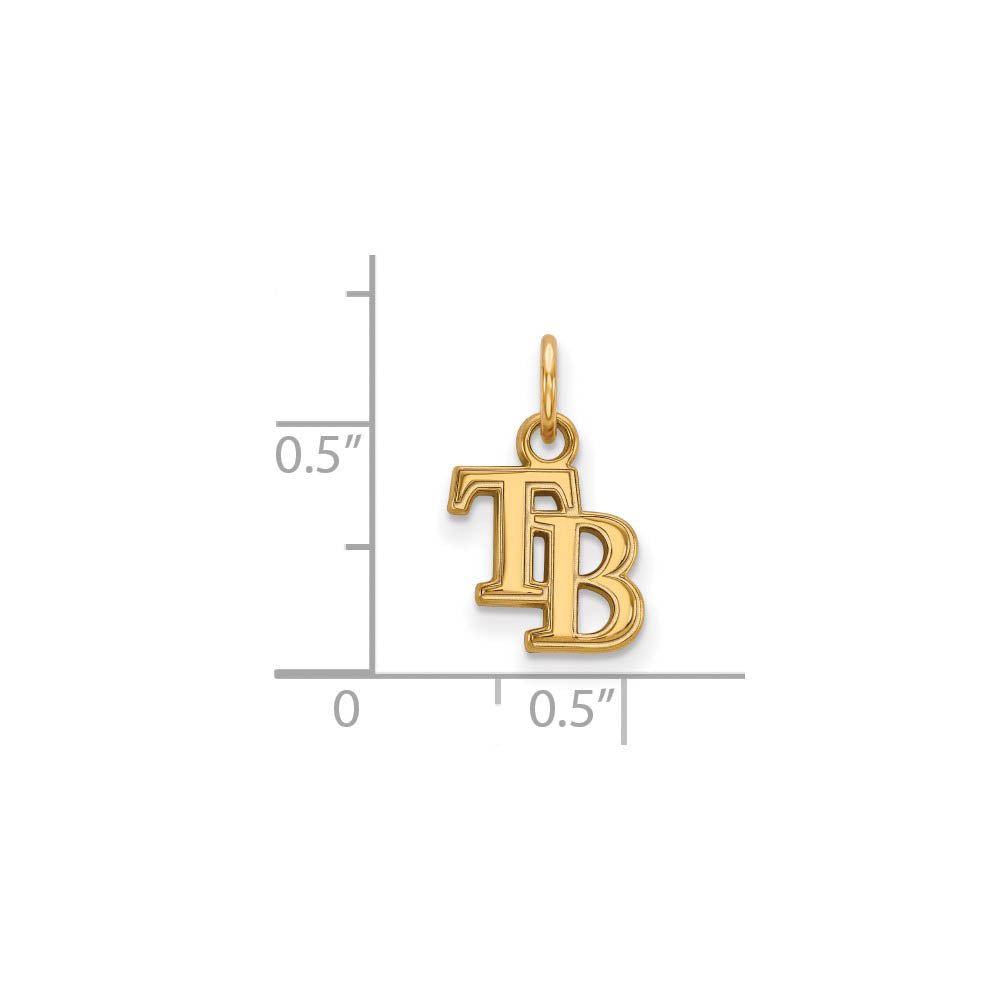 Alternate view of the 14K Gold Plated Silver MLB Tampa Bay Rays XS (Tiny) Charm by The Black Bow Jewelry Co.