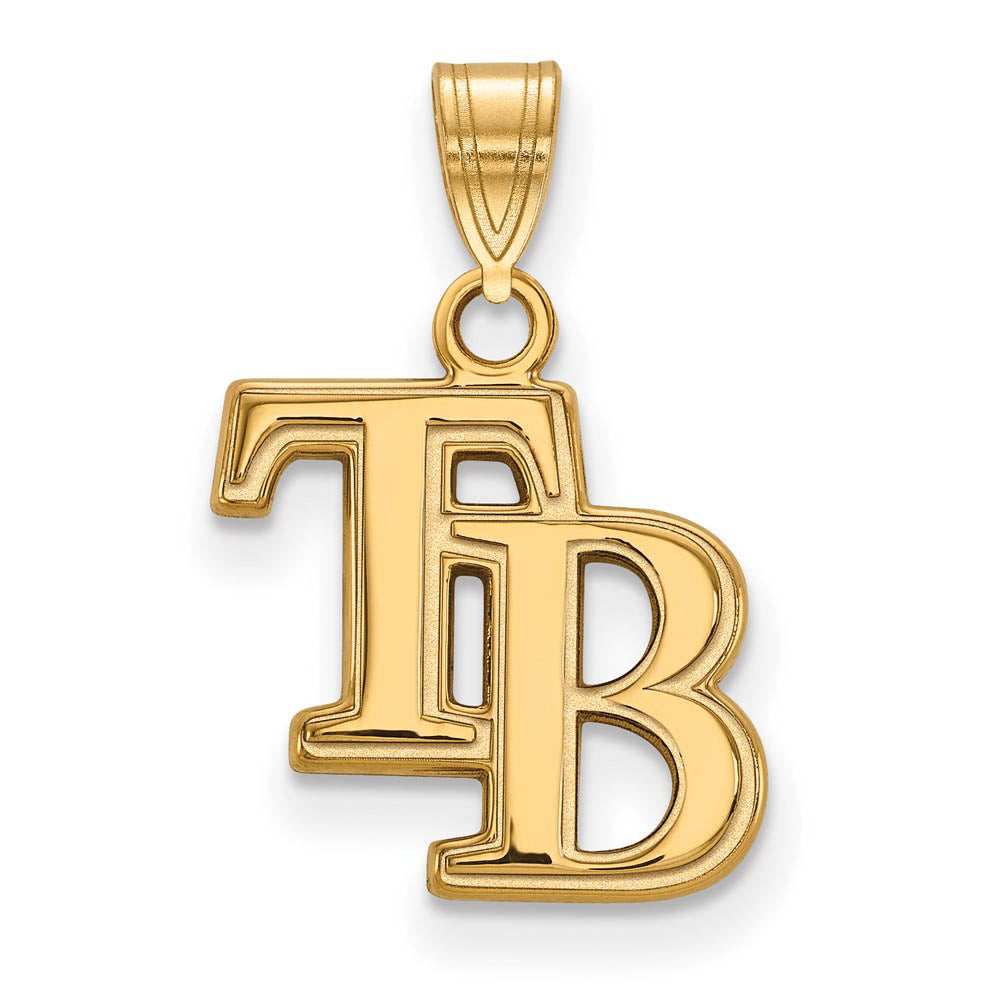 14K Gold Plated Silver MLB Tampa Bay Rays Small Pendant, Item P33212 by The Black Bow Jewelry Co.