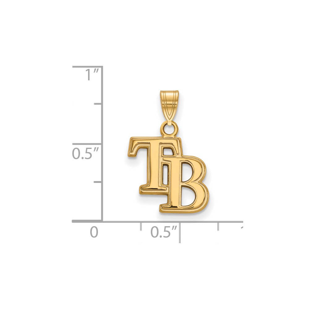 Alternate view of the 14K Gold Plated Silver MLB Tampa Bay Rays Small Pendant by The Black Bow Jewelry Co.