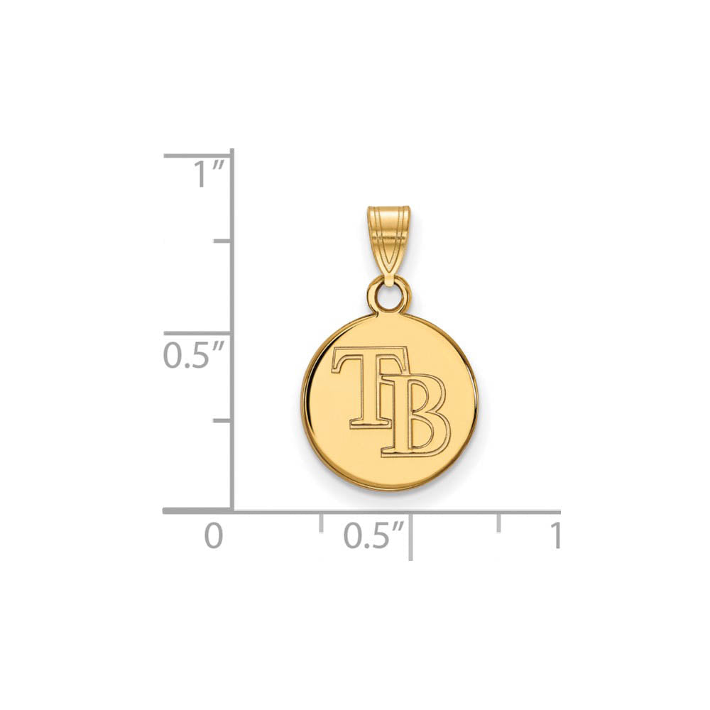Alternate view of the 14K Gold Plated Silver MLB Tampa Bay Rays Small Disc Pendant by The Black Bow Jewelry Co.