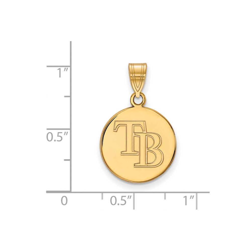 Alternate view of the 14K Gold Plated Silver MLB Tampa Bay Rays Medium Disc Pendant by The Black Bow Jewelry Co.