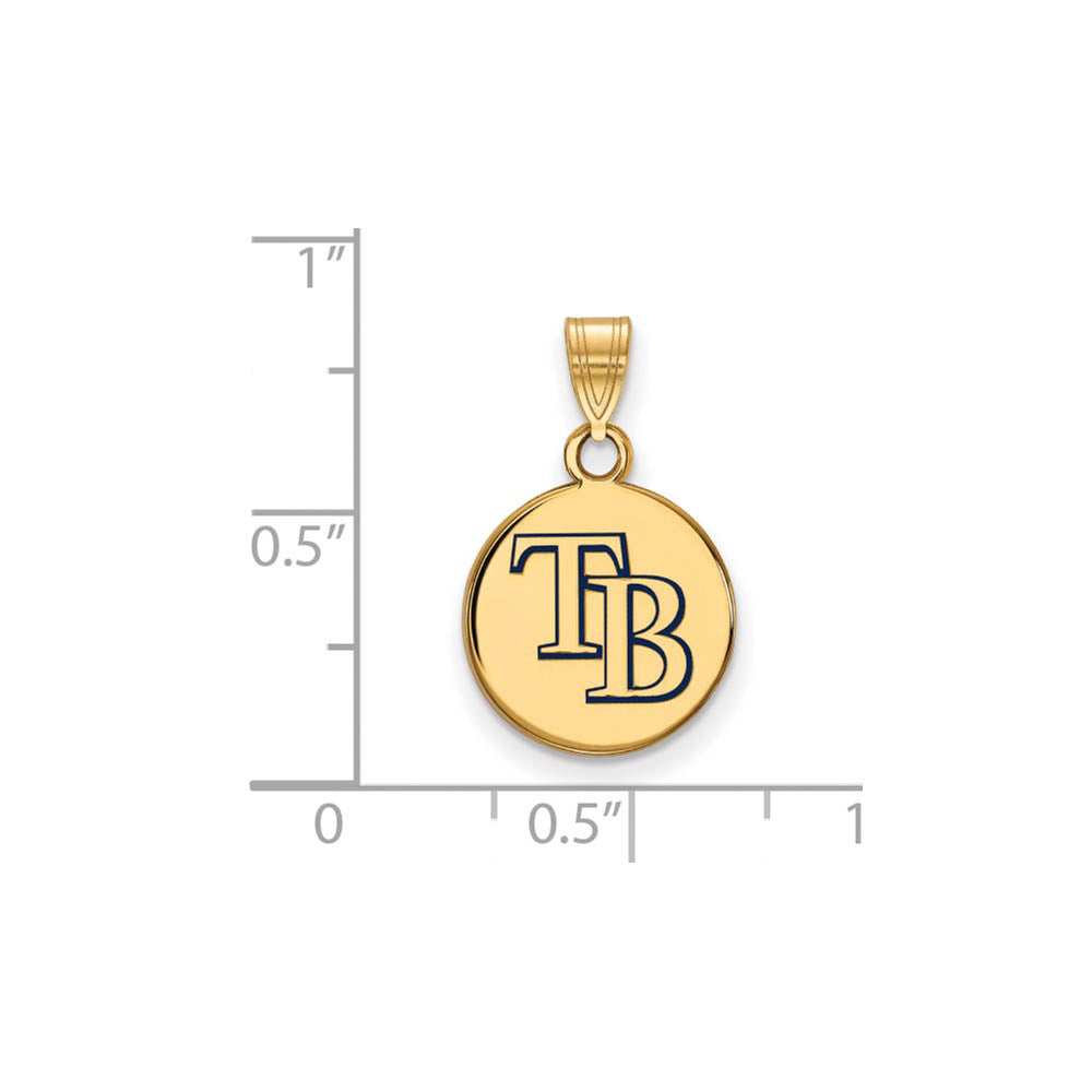Alternate view of the 14K Gold Plated Silver MLB Tampa Bay Rays SM Enamel Disc Pendant by The Black Bow Jewelry Co.