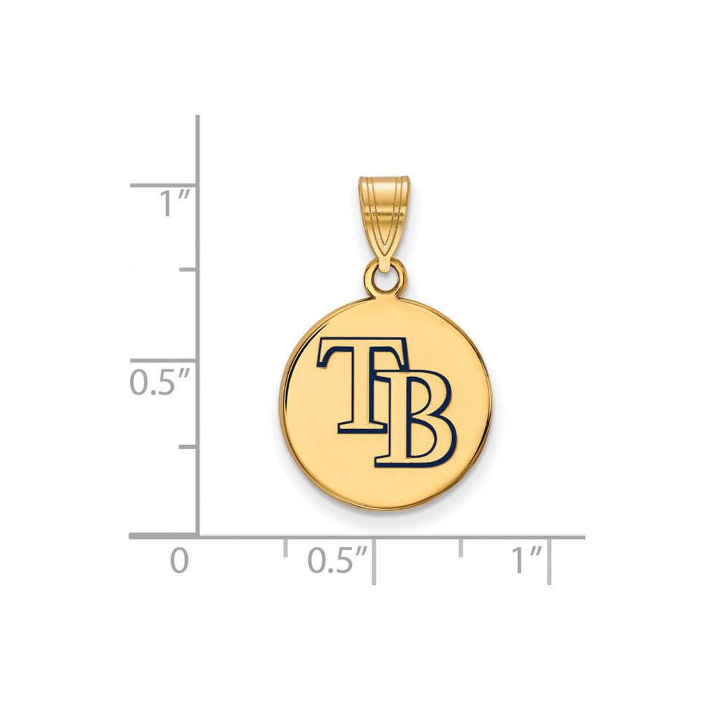 Alternate view of the 14K Gold Plated Silver MLB Tampa Bay Rays MD Enamel Disc Pendant by The Black Bow Jewelry Co.