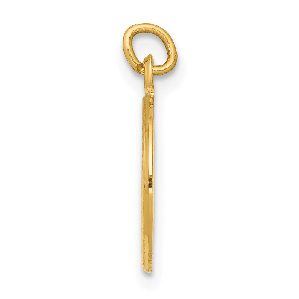 Alternate view of the 14k Yellow Gold First Holy Communion Medal Charm, 12mm (7/16 inch) by The Black Bow Jewelry Co.