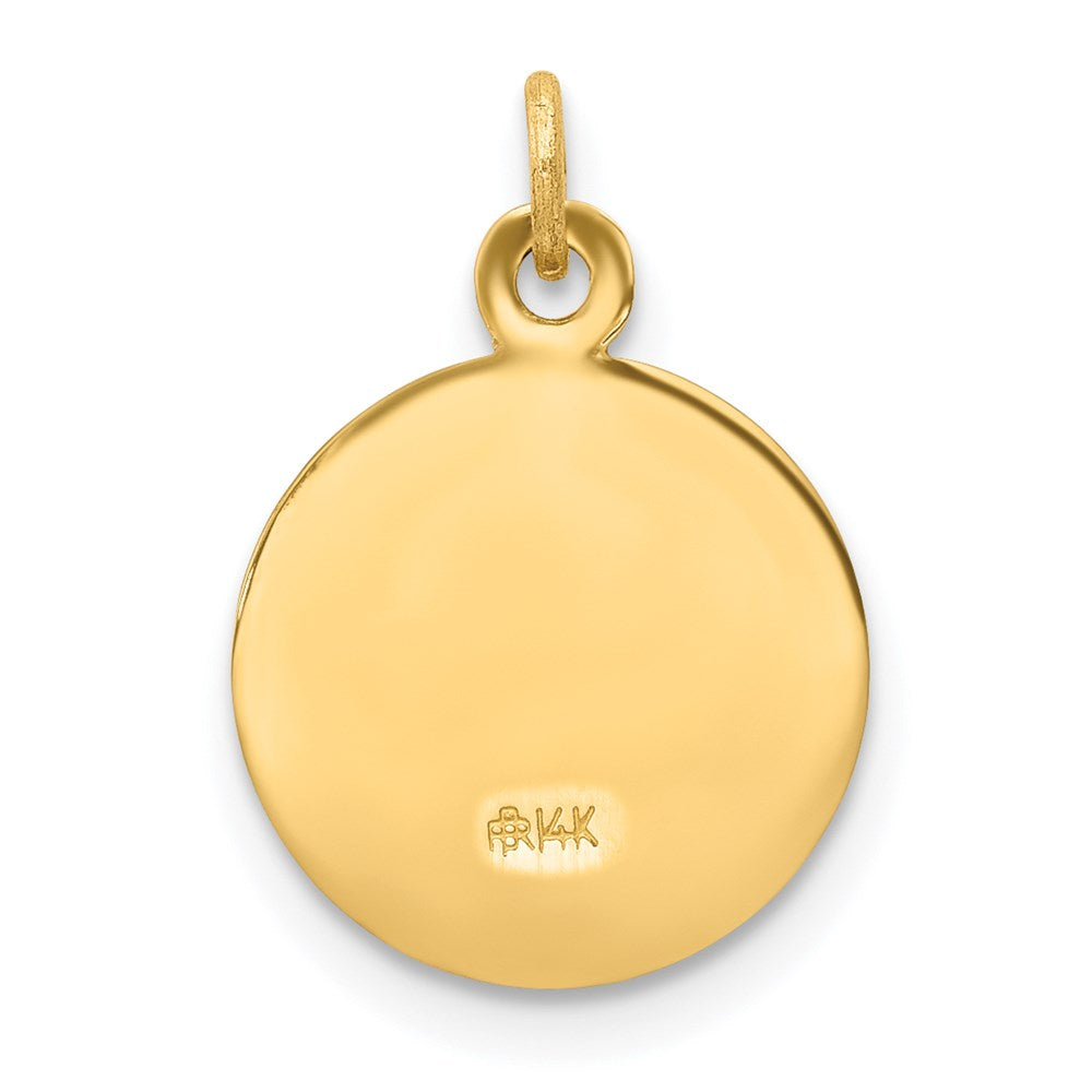 Alternate view of the 14k Yellow Gold First Holy Communion Medal Charm, 12mm (7/16 inch) by The Black Bow Jewelry Co.