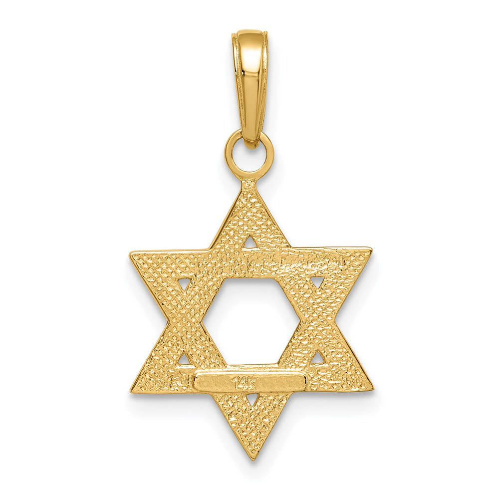 Alternate view of the 14k Yellow Gold Star of David Pendant by The Black Bow Jewelry Co.