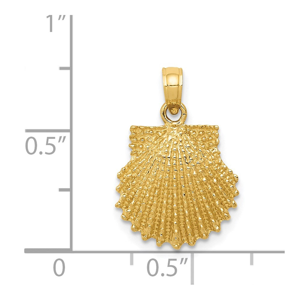Alternate view of the 14k Yellow Gold Textured Scallop Shell Pendant, 13mm by The Black Bow Jewelry Co.