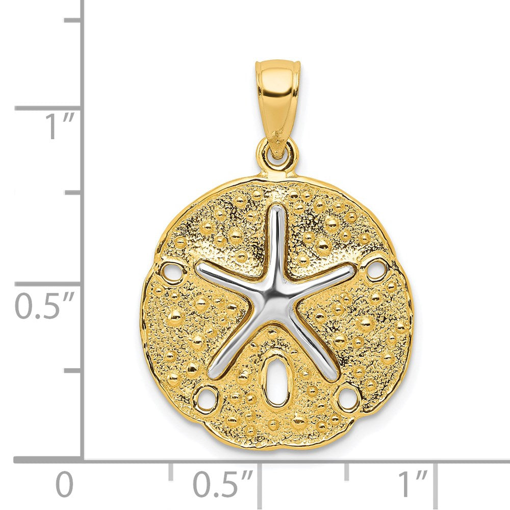 Alternate view of the 14k Two Tone Gold 20mm Sand Dollar and Starfish Pendant by The Black Bow Jewelry Co.