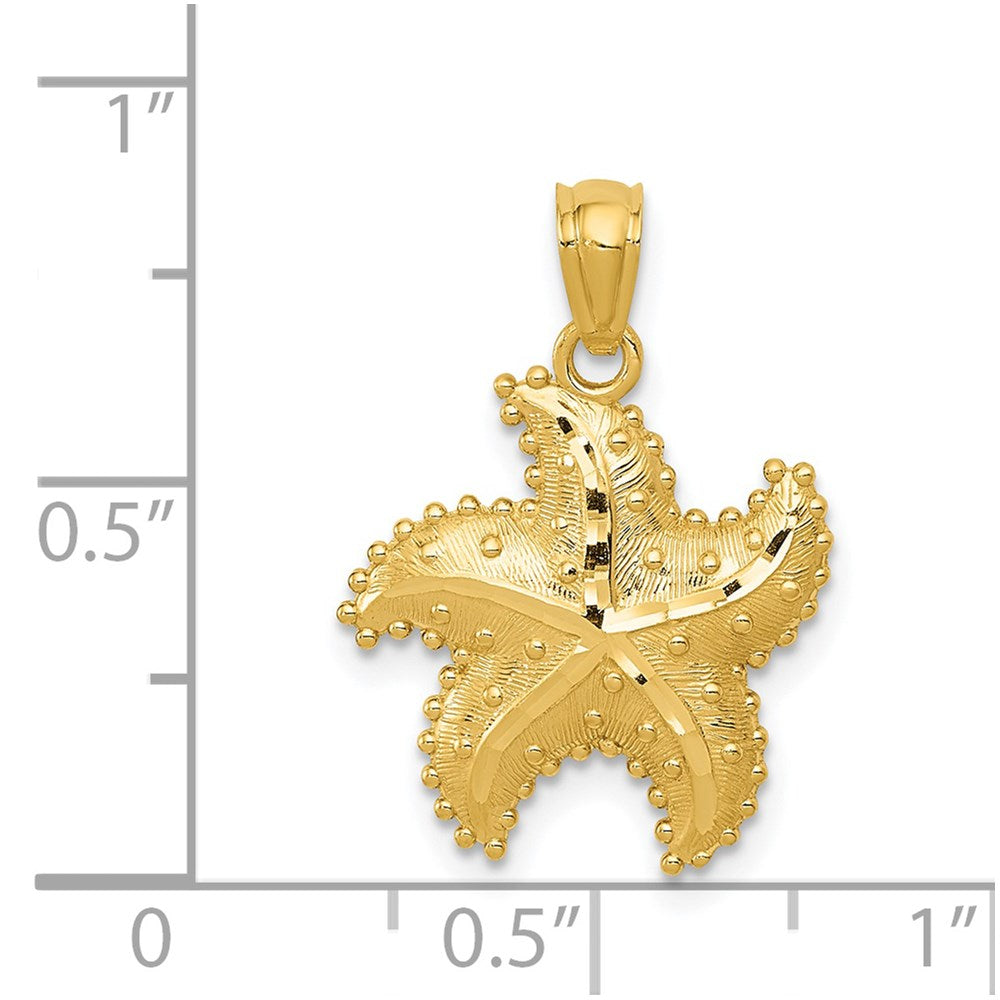 Alternate view of the 14k Yellow Gold 15mm Diamond Cut and Textured Starfish Pendant by The Black Bow Jewelry Co.