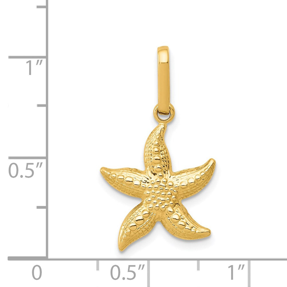 Alternate view of the 14k Yellow Gold 14mm Textured Hollow Starfish Pendant by The Black Bow Jewelry Co.