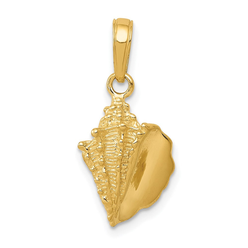 14k Yellow Gold Polished Textured Conch Shell Pendant, Item P9665 by The Black Bow Jewelry Co.