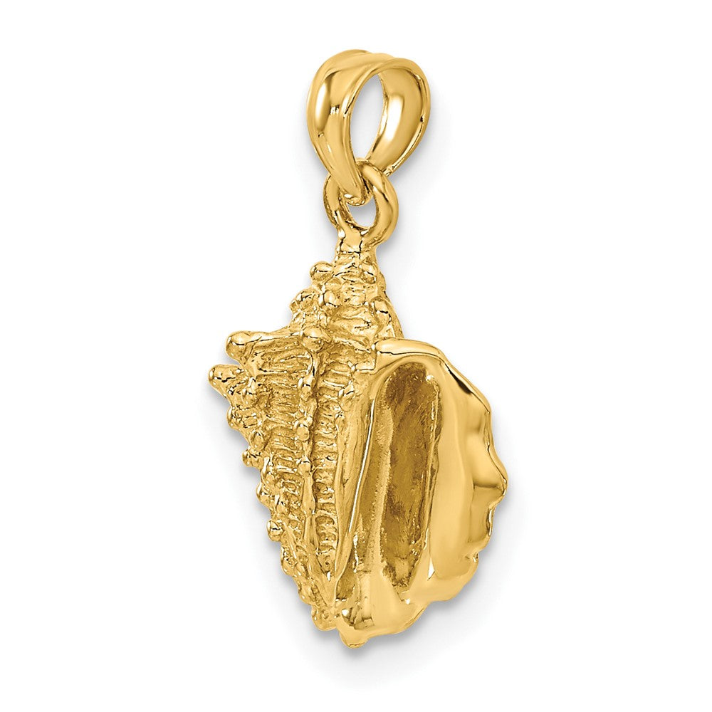 Alternate view of the 14k Yellow Gold Polished Textured Conch Shell Pendant by The Black Bow Jewelry Co.