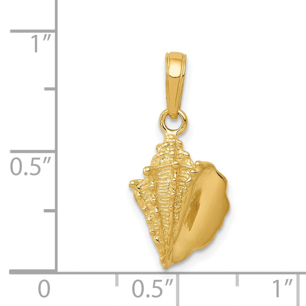 Alternate view of the 14k Yellow Gold Polished Textured Conch Shell Pendant by The Black Bow Jewelry Co.