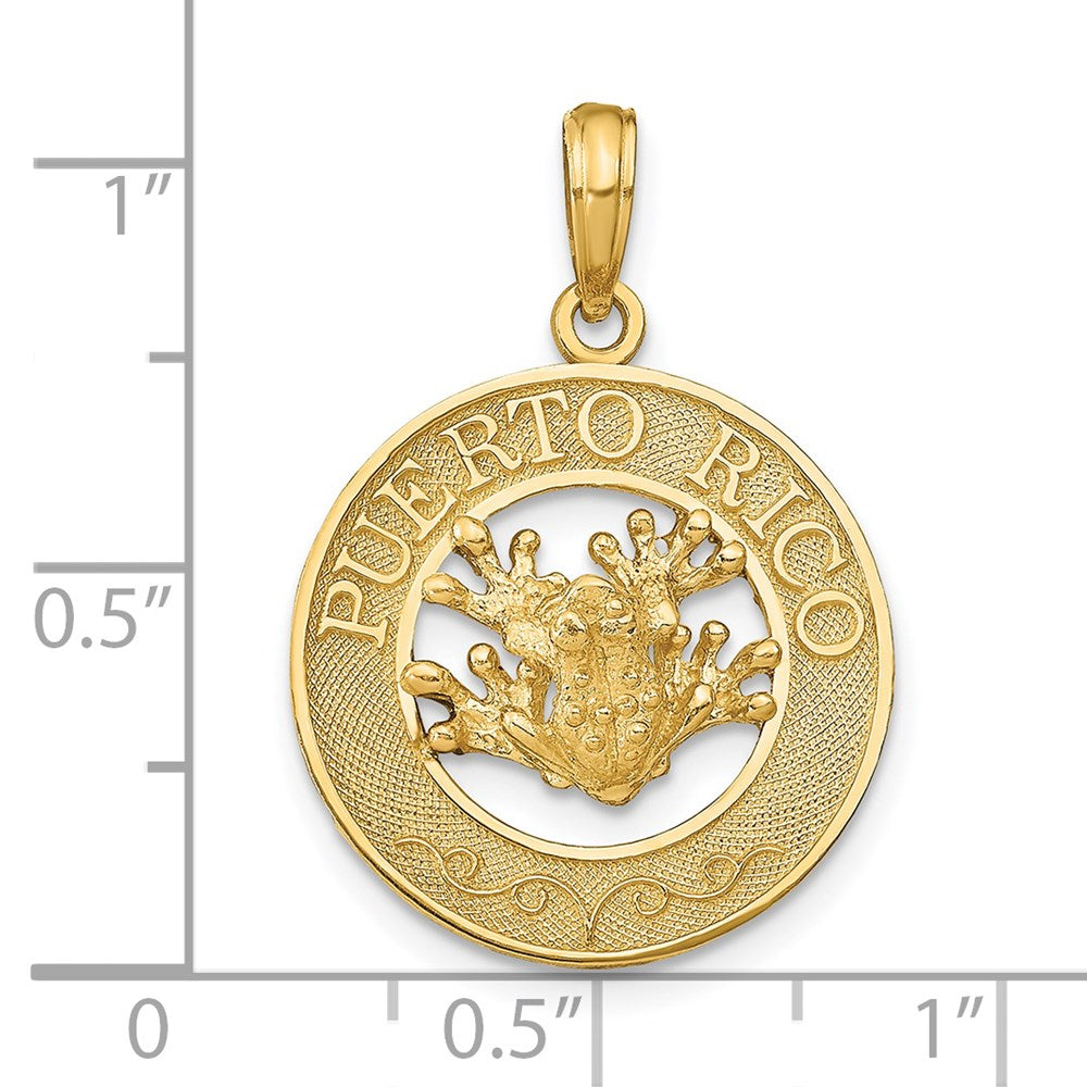 Alternate view of the 14k Yellow Gold Puerto Rico with Frog Circle Pendant by The Black Bow Jewelry Co.