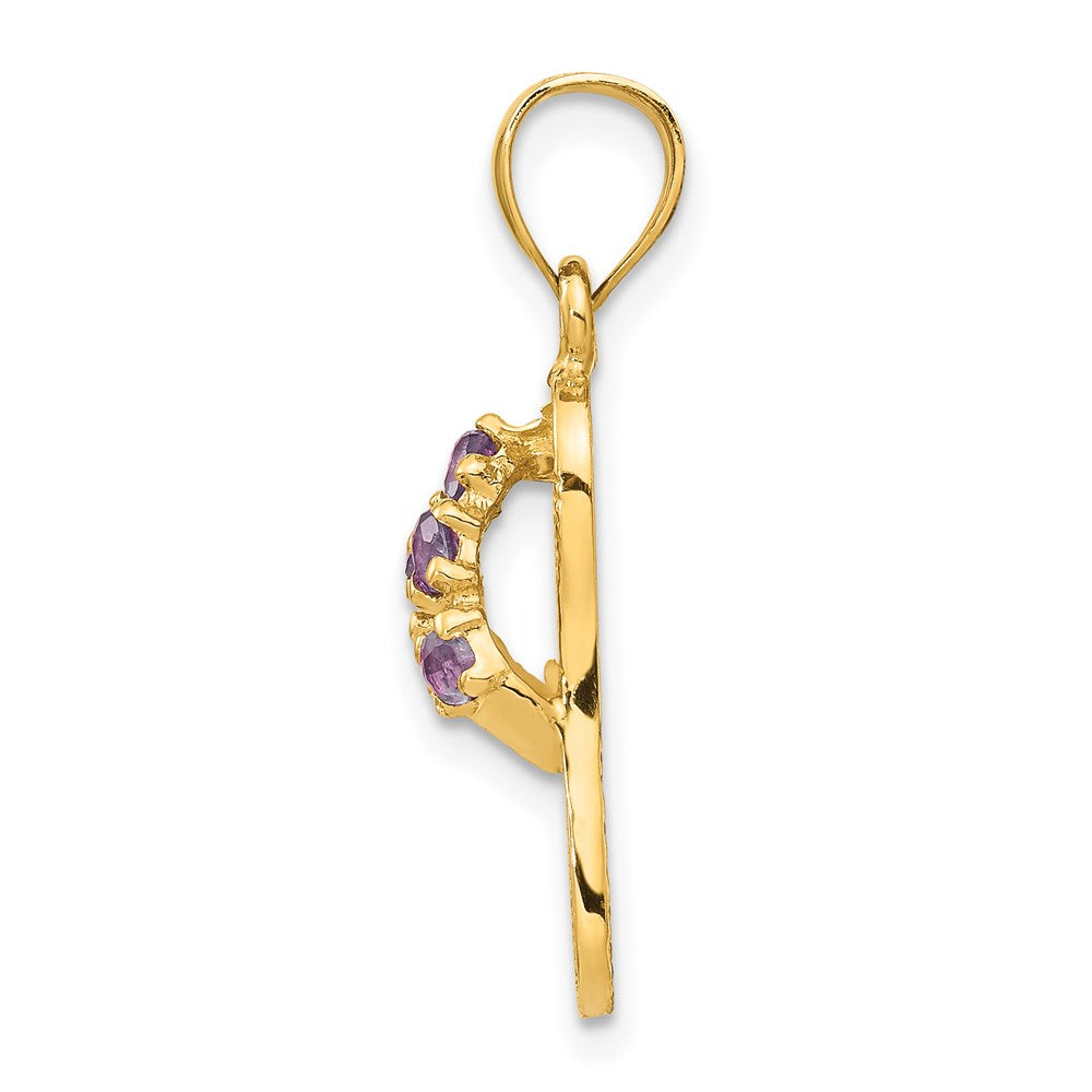 Alternate view of the 14k Yellow Gold June Cubic Zirconia Birthstone Flip Flop Pendant by The Black Bow Jewelry Co.